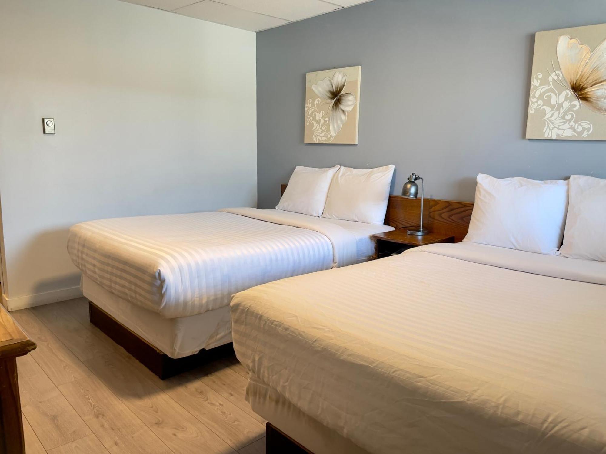 Departure Bay Motel ナナイモ エクステリア 写真